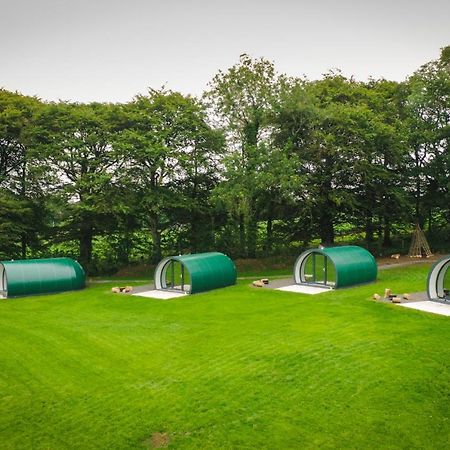 Further Space At Thornfield Luxury Glamping Pods, The Dark Hedges, Ballycastle Ballymoney Eksteriør bilde