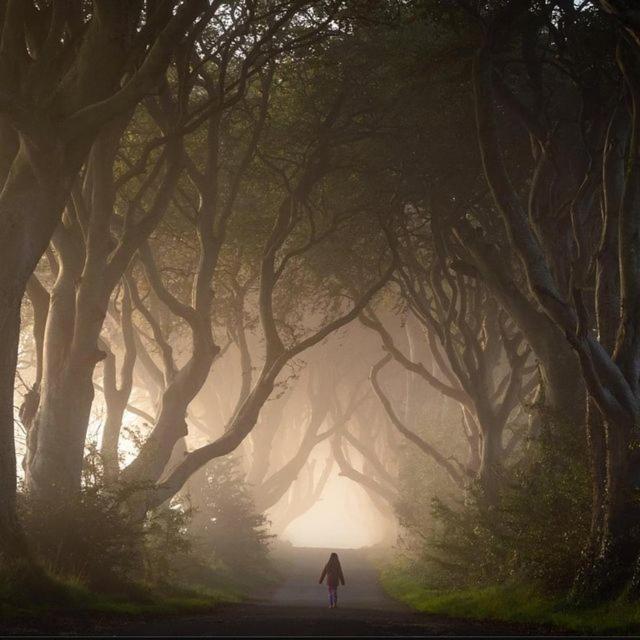 Further Space At Thornfield Luxury Glamping Pods, The Dark Hedges, Ballycastle Ballymoney Eksteriør bilde