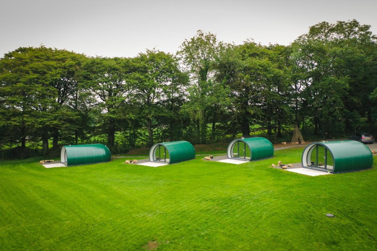 Further Space At Thornfield Luxury Glamping Pods, The Dark Hedges, Ballycastle Ballymoney Eksteriør bilde